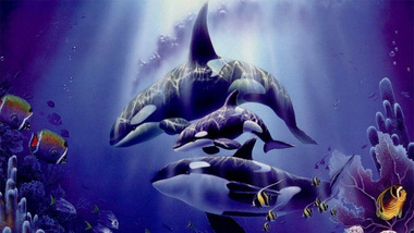 Рівновага трьох китів - замовники, SEO-оптимізатори, програмісти